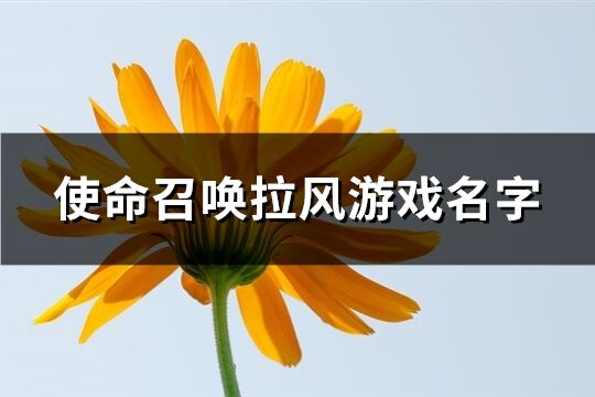 使命召唤拉风游戏名字(共639个)