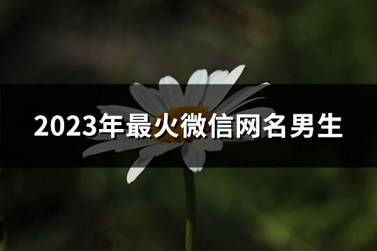 2023年最火微信网名男生(精选2353个)