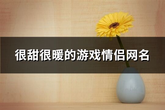 很甜很暖的游戏情侣网名(共168个)