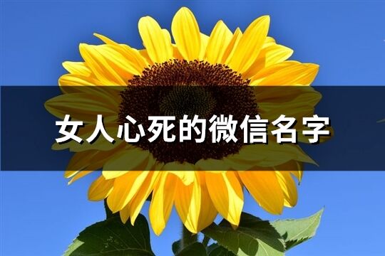 女人心死的微信名字(207个)