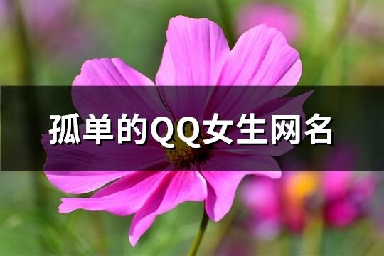 孤单的QQ女生网名(共87个)