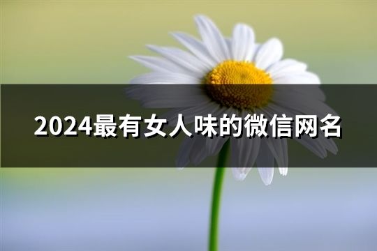 2024最有女人味的微信网名(249个)