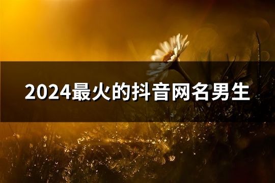 2024最火的抖音网名男生(96个)