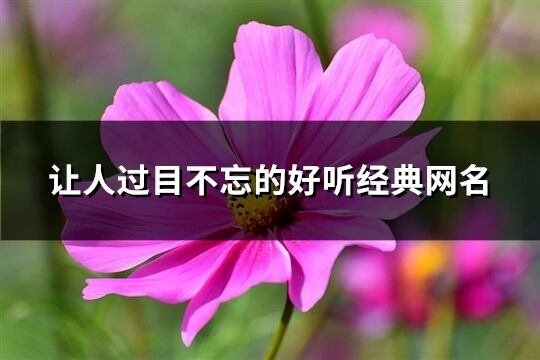 让人过目不忘的好听经典网名(精选364个)