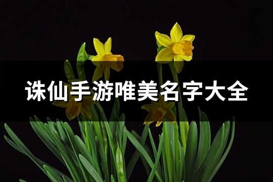 诛仙手游唯美名字大全(优选247个)