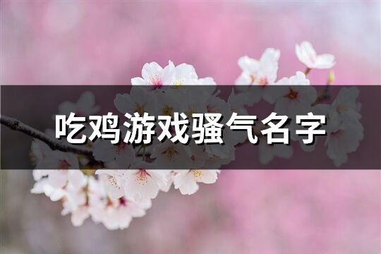 吃鸡游戏骚气名字(243个)