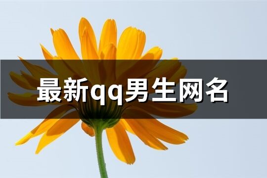 最新qq男生网名(共584个)