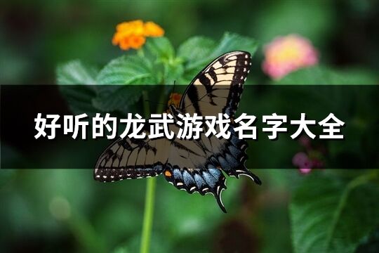 好听的龙武游戏名字大全(共268个)