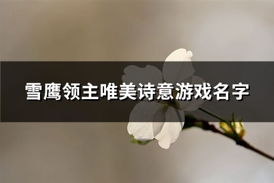 雪鹰领主唯美诗意游戏名字(共537个)