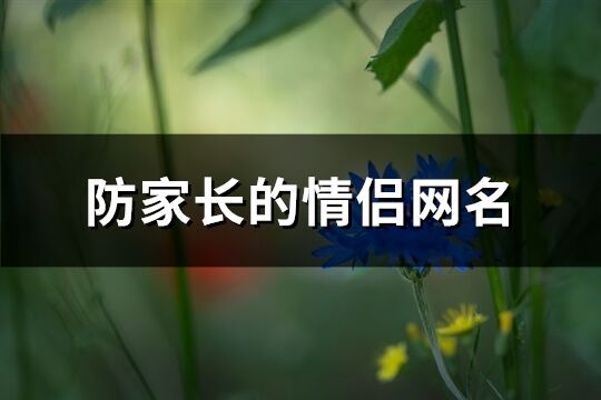 防家长的情侣网名(精选127个)