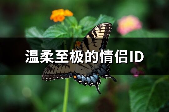 温柔至极的情侣ID(精选71个)