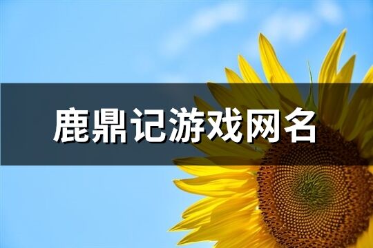 鹿鼎记游戏网名(精选416个)