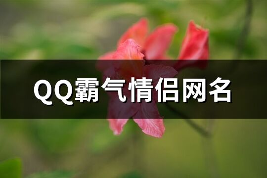 QQ霸气情侣网名(精选124个)