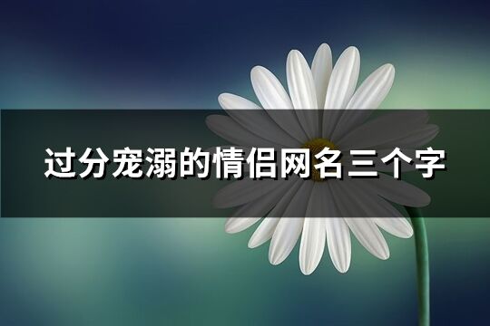 过分宠溺的情侣网名三个字(精选166个)