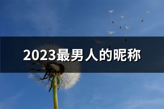 2023最男人的昵称(共2664个)