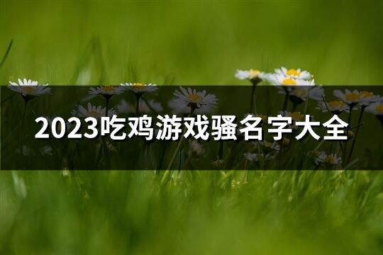 2023吃鸡游戏骚名字大全(622个)