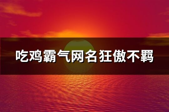 吃鸡霸气网名狂傲不羁(共133个)