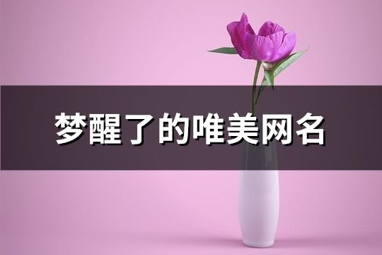 梦醒了的唯美网名(335个)