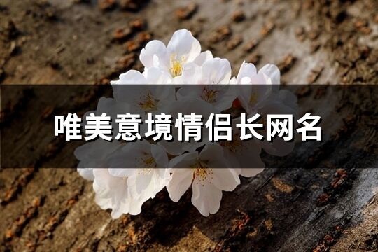 唯美意境情侣长网名(精选24个)