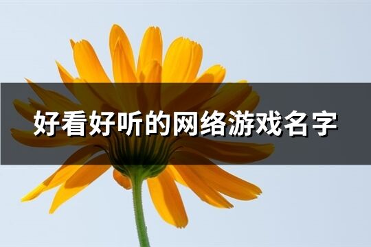 好看好听的网络游戏名字(共563个)