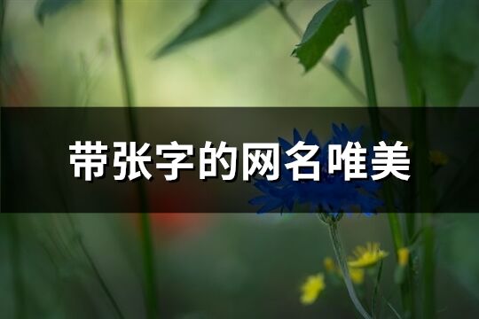 带张字的网名唯美(精选78个)