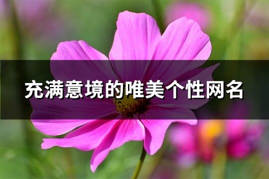 充满意境的唯美个性网名(共411个)