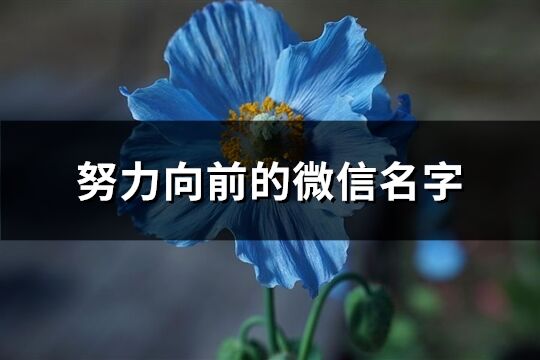 努力向前的微信名字(共734个)