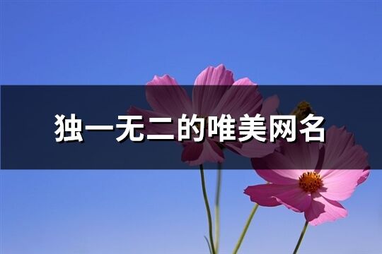 独一无二的唯美网名(共85个)