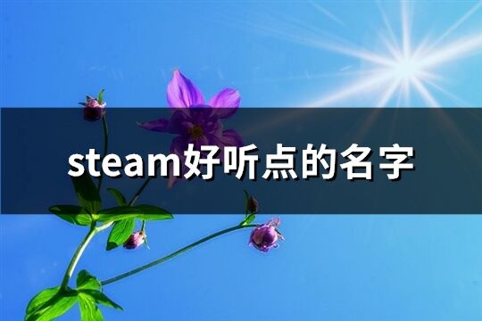 steam好听点的名字(330个)