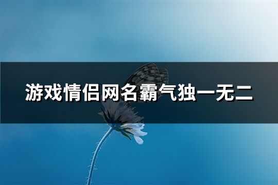 游戏情侣网名霸气独一无二(共85个)