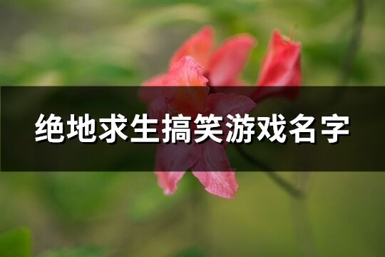 绝地求生搞笑游戏名字(326个)