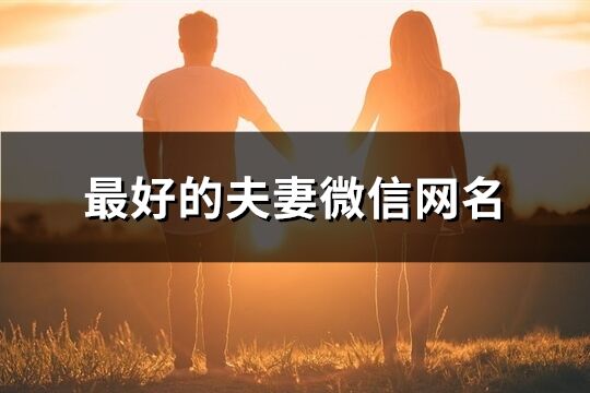 最好的夫妻微信网名(482个)