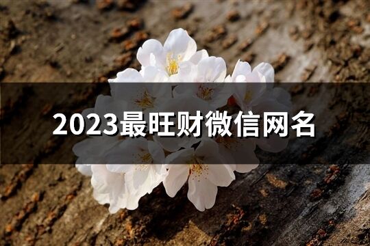 2023最旺财微信网名(897个)