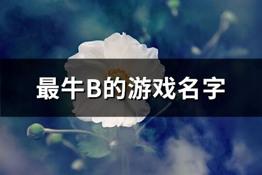 最牛B的游戏名字(共186个)