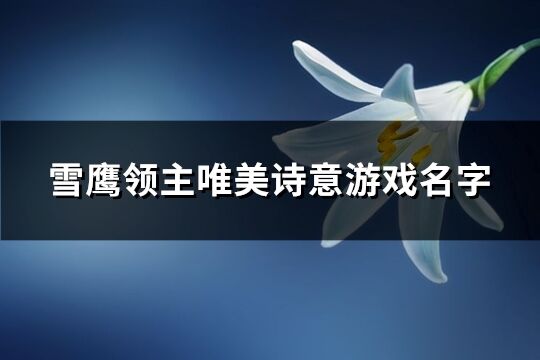 雪鹰领主唯美诗意游戏名字(共474个)