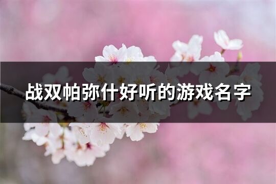 战双帕弥什好听的游戏名字(201个)