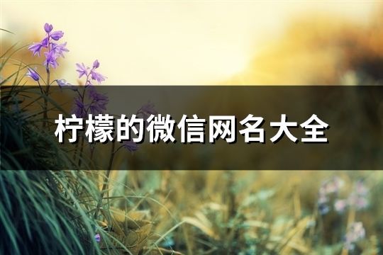 柠檬的微信网名大全(共133个)