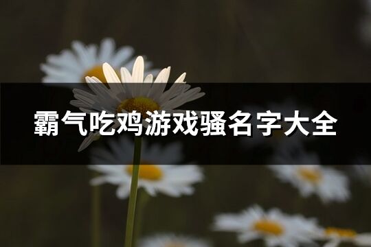 霸气吃鸡游戏骚名字大全(共232个)