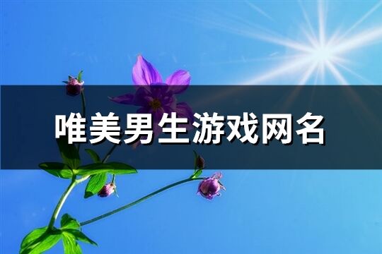 唯美男生游戏网名(306个)