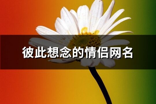 彼此想念的情侣网名(共114个)