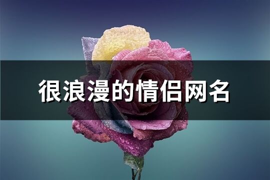 很浪漫的情侣网名(共107个)