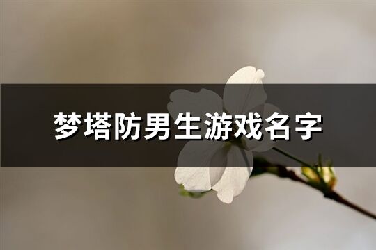 梦塔防男生游戏名字(共250个)