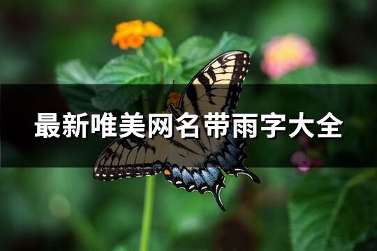 最新唯美网名带雨字大全(113个)