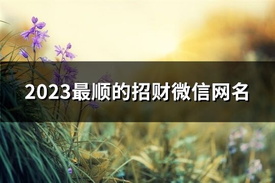 2023最顺的招财微信网名(538个)