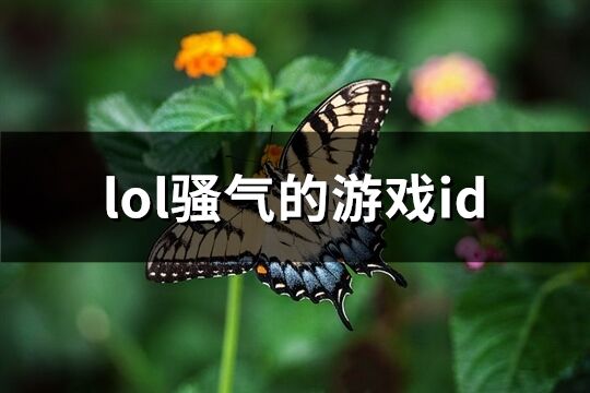 lol骚气的游戏id(共138个)