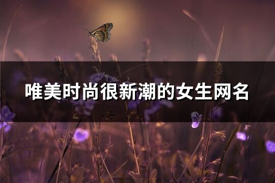 唯美时尚很新潮的女生网名(精选491个)