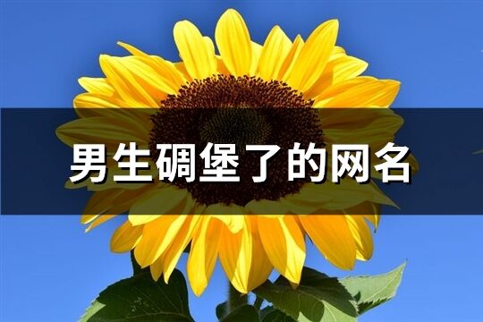 男生碉堡了的网名(共402个)