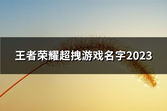 王者荣耀超拽游戏名字2023(61个)