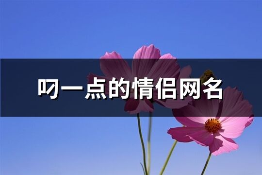 叼一点的情侣网名(331个)