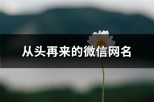 从头再来的微信网名(共104个)